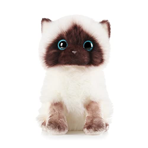 LSSHPZLFC Siamkatze Stofftiere 10,2 Zoll Süße Ragdoll Kätzchen Plüschtier Siamkatze Plüschtier Spielzeug Puppe, Haustiergeschenke for Frauen Geburtstag Jahrestag Katzenliebhaber(20cm) von LSSHPZLFC