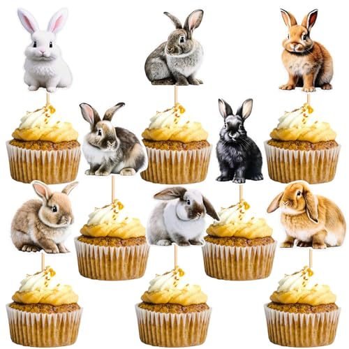 Ostern Tortendeko Hase 16 Stück Kaninchen Tortendeko Bunny Cupcake Deko Muffin Cake Topper Oster Kuchen Deko kindergeburtstag Für Hasenpartys, Osterpartys, Tierische Themenpartys von LUYANFX