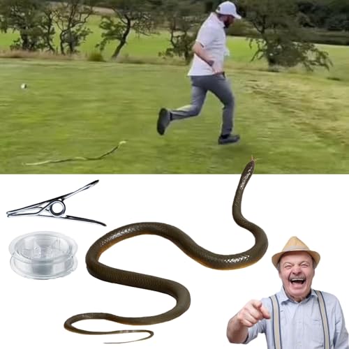 LXCJZY Snake Prank with String Clip - Clip on Snake Prank, Snake on a String Prank That Chase People, Realistic Rubber Snake Prank Toy, Snake Prank Never Gets Old (Grey) von LXCJZY