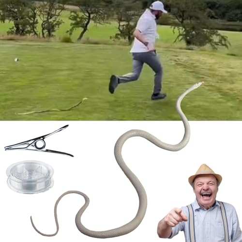 LXCJZY Snake Prank with String Clip - Clip on Snake Prank, Snake on a String Prank That Chase People, Realistic Rubber Snake Prank Toy, Snake Prank Never Gets Old (White) von LXCJZY