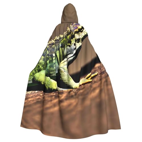 LXqlSS Lizard HD Kapuzenumhang Unisex Halloween Umhang für Teufel Hexe Zauberer Halloween Weihnachten Cosplay von LXqlSS