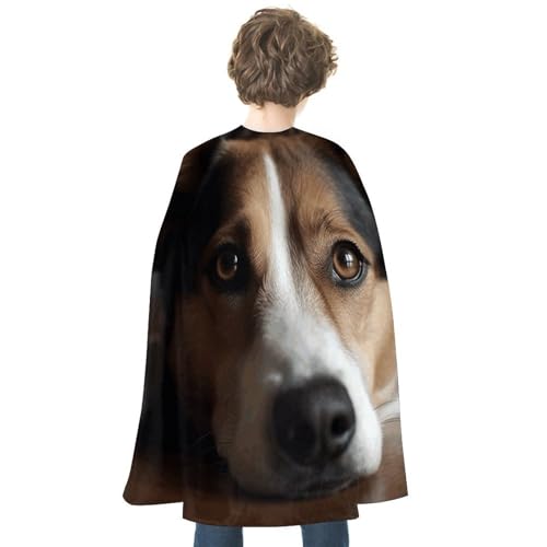 LYDSKGEQ Halloween-Umhang, Hexenumhang, Unisex, Weihnachtsumhang, Cosplay-Kostüme, Erwachsene, Hund, liegender Druck, Umhang von LYDSKGEQ