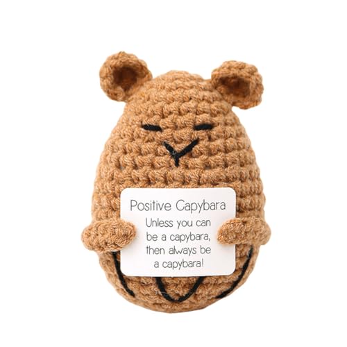 LYEAA Emotionale Unterstützung, lustiges Stressabbau-Spielzeug mit positiver Affirmationskarte, kreative Strickpuppen, gestrickte Puppen, Geschenke für Frauen und Männer von LYEAA