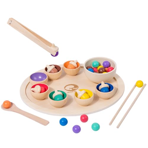 LYEAA hölzerne Montessori Sorting Game Mehrzweck Montessori Bowls Spielzeugbälle passen Spielfarbe passende Ballspielzeug für Outdoor Travel School von LYEAA