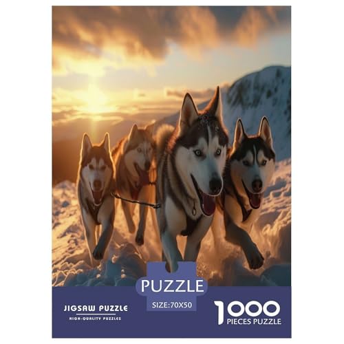 Alaskan Malamute Hund Puzzle 1000-teilige Schwer Puzzle Spielzeug Lernspiel Impossible Herausforderungsspielzeug Für Erwachsene Und Kinder in Bewährter 70x50cm/1000pcs Alaskan Malamute Hund Puzzle 1000-teilige Schwer Puzzle Spielzeug Lernspiel Impossible Herausforderungsspielzeug Für Erwachsene Und Kinder in Bewährter 70x50cm/1000pcs von LYJSMDAAA