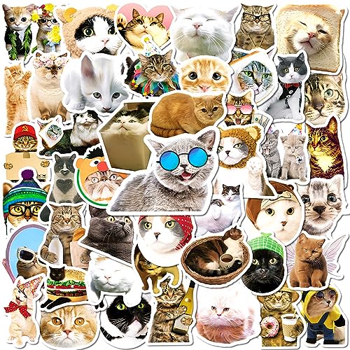 Lustige Katze Aufkleber Cute Katze Sticker Set 50 Stücke Niedlich Deko für Auto Laptop Skateboard Fahrrad Moped Motorrad Fahrrad Computer,Geeignet für Erwachsene Kinder von LYunMu