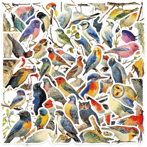 Watercolor Bird Aufkleber 50 Stücke Niedlich Deko für Auto Laptop Skateboard Fahrrad Moped Motorrad Fahrrad Computer,Geeignet für Erwachsene Kinder Wasservögel Sticker Set Watercolor Bird Aufkleber 50 Stücke Niedlich Deko für Auto Laptop Skateboard Fahrrad Moped Motorrad Fahrrad Computer,Geeignet für Erwachsene Kinder Wasservögel Sticker Set von LYunMu