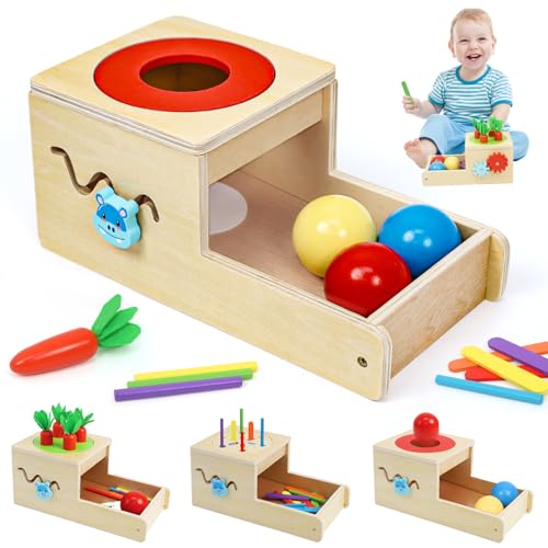 LZDMY Holzspielzeug ab 1 Jahr, Montessori Spielzeug mit Karotten Baby Steckspiel, Motorik Spielzeug 1 2 3 Jahr Kinder, Sortierspiel Sensorik Spielzeug Geburtstag Ostern Geschenk für Junge & Mädchen LZDMY Holzspielzeug ab 1 Jahr, Montessori Spielzeug mit Karotten Baby Steckspiel, Motorik Spielzeug 1 2 3 Jahr Kinder, Sortierspiel Sensorik Spielzeug Geburtstag Ostern Geschenk für Junge & Mädchen von LZDMY