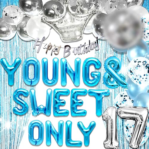 LaVenty Silber Blau Young and sweet only 17 Balloons Happy Birthday Banner (Silber Blau) von LaVenty