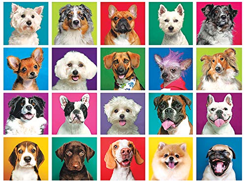 Collage Colorluxe 20 Dogs Puzzle 1000 Teile von Lafayette Puzzle Factory