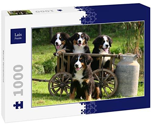 Lais Puzzle Berner Sennenhund 1000 Teile von Lais Puzzle