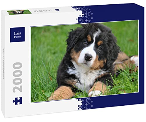 Lais Puzzle Berner Sennenhund 2000 Teile von Lais Puzzle