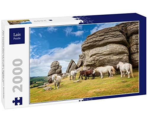 Lais Puzzle Dartmoor Ponys in der Nähe von Saddle Tor, Dartmoor, Devon, England 2000 Teile von Lais Puzzle