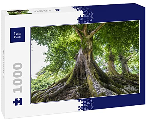 Lais Puzzle Großer Alter Baum 1000 Teile von Lais Puzzle