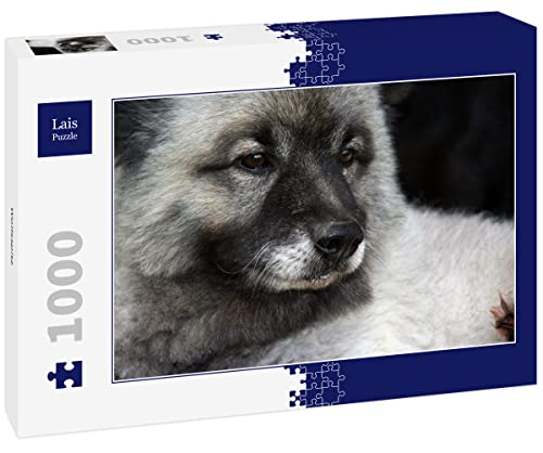 Lais Puzzle Wolfsspitz 1000 Teile von Lais Puzzle