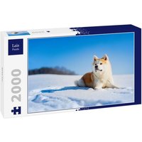 Lais Puzzle Akita Inu 2000 Teile Lais Puzzle Akita Inu 2000 Teile von Lais Systeme
