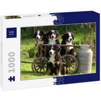 Lais Puzzle Berner Sennenhund 1000 Teile von Lais Systeme