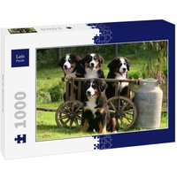 Lais Puzzle Berner Sennenhund 1000 Teile von Lais Systeme