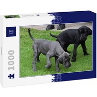 Lais Puzzle Doggen 1000 Teile von Lais Systeme