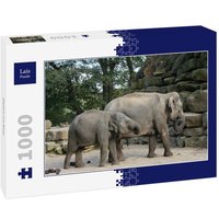 Lais Puzzle Elefant mit Baby 1000 Teile von Lais Systeme