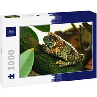 Lais Puzzle Frosch 1000 Teile von Lais Systeme