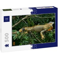 Lais Puzzle Leguan 500 Teile von Lais Systeme