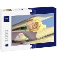 Lais Puzzle Rose in altem Buch 1000 Teile von Lais Systeme