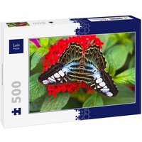 Lais Puzzle Schmetterling 500 Teile von Lais Systeme