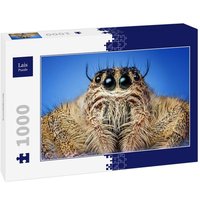 Lais Puzzle Springspinne 1000 Teile von Lais Systeme