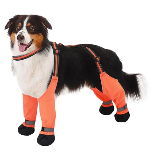 Hundeschuhe, wasserdichte Hund Schuhe Anti-Rutsch-Hundeschuhe reflektierende Hundestiefel & Pfotenschutz mit verstellbaren Gurten Hundefuhe für heiße Pflaster, Wandern, regnerische und schneebedeckte von Lamppdcor