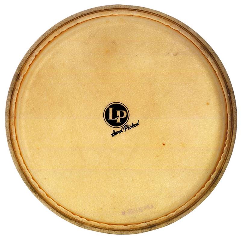 Latin Percussion Galaxy LP274C Gonga Head 12,5" Percussion-Fell von Latin Percussion