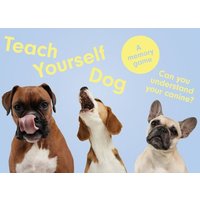 Teach Yourself Dog von Orion