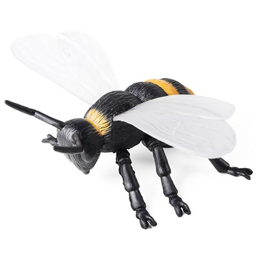 Bugs für Kinder, Bienenspielzeug realistische Plastikwanzen Modell Bildung Tierspielzeug für Kinder Kleinkinder Wissenschaftsprojekt 6.1x4.5x2, 1 Zoll Bugs für Kinder, Bienenspielzeug realistische Plastikwanzen Modell Bildung Tierspielzeug für Kinder Kleinkinder Wissenschaftsprojekt 6.1x4.5x2, 1 Zoll von Lawnrden