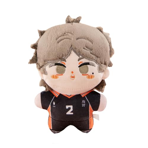 Ldruieu Haikyuu Plüschpuppe Sugawara Koushi Plüsch Kissen 20cm Anime-Cartoon Niedlich, Weich, Gefüllte Figur für Anime Fans Sammlung Geschenke von Ldruieu