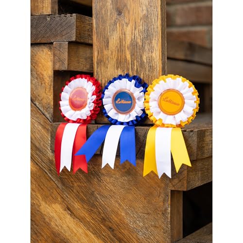 LeMieux Hobby Horse Rosette Pack - Set mit drei Satin-Gewinnerrosetten - Gratuliere deinem Hobbypferd - Geeignet für Kinder ab 3 Jahren von LeMieux