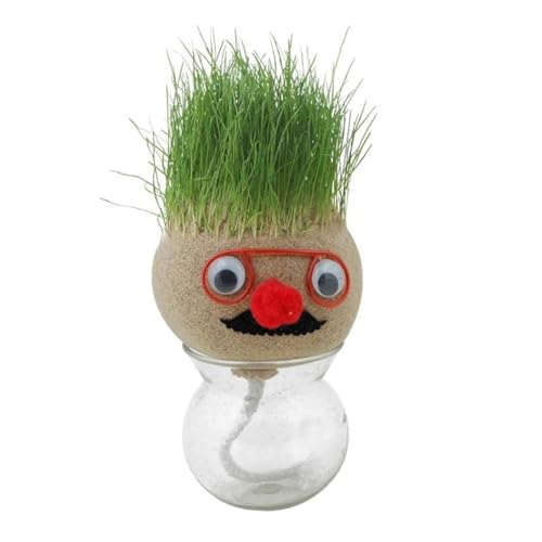 Graskopf Puppe Topfpflanze - -Graskopf-Haarwuchsspielzeug - Lernspielzeug, Grasshead Neuheit Grow Your Own Grass Head, Graskopf-Puppe, Langhaarspielzeug, Bonsai-Kopf, Graspuppe, Lernspiel von LearnLyrics