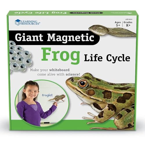 Learning Resources Riesiger Magnetischer Lebenszyklus eines Frosches Learning Resources Riesiger Magnetischer Lebenszyklus eines Frosches von Learning Resources