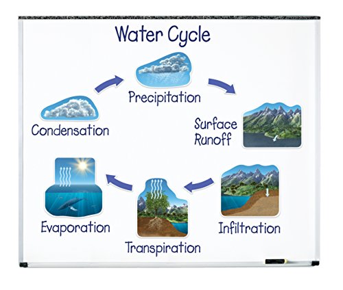 Learning Resources Wasserkreislauf-Set mit großen Magneten von Learning Resources