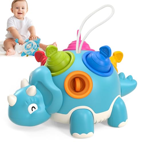 Lehoo Castle Montessori Motorikspielzeug ab 1 Jahr Junge Mädchen, Baby Sensorik Spielzeug Dino Kinderspielzeug, Frühe Entwicklung Lernspielzeug Geschenk, Pop Fidget Spinning Toy 1-3 Kleinkind Geschenk von Lehoo Castle