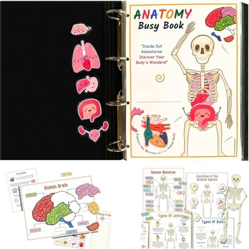 Lembeauty Human Anatomy Busy Book, Human Body Anatomy Busy Book Für Kinder, Montes-Sori Busy Buch Menschlichen Körper Anatomie, Vorschule Sensory Pädagogische Wissenschaft Lernaktivitäten von Lembeauty