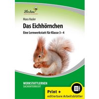 Eichhörnchen / GS Sachunterr. Kl. 3-4 von Lernbiene