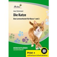 Die Katze von Lernbiene