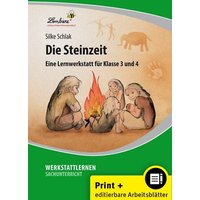 Die Steinzeit von Lernbiene