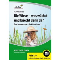 Die Wiese - was wächst und kriecht denn da? von Lernbiene