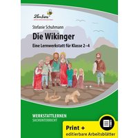 Die Wikinger von Lernbiene