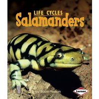 Salamanders von Lerner Publishing Group