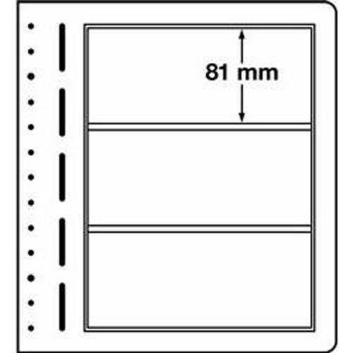 Leuchtturm 307865 Blankoblätter für Sammelalben - 3er Einteilung im 190 x 81 mm Format - 10er Pack von Leuchtturm