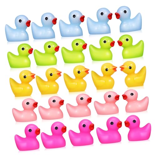 Levemolo Miniatur Figuren Niedliche Resin Mini Enten Für Mini Garten Mikro Landschafts Dekoration Pink Und Pro Farbe von Levemolo