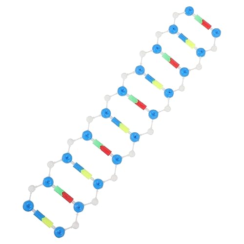 Levemolo Zusammenbaumodell Selbstmontierendes Modell Wissenschaftliches DNA Modellbausatz Aus Kunststoff Pädagogisches Lehrmodell von Levemolo