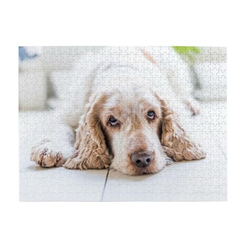 500 Teile, Puzzles für Erwachsene, anspruchsvolle Puzzles, Puzzlespiel für das Ganze,Cocker Spaniel Brauner Spaniel Traurige Hunde Hunde Haustiere 500 Teile, Puzzles für Erwachsene, anspruchsvolle Puzzles, Puzzlespiel für das Ganze,Cocker Spaniel Brauner Spaniel Traurige Hunde Hunde Haustiere von LfearTesa